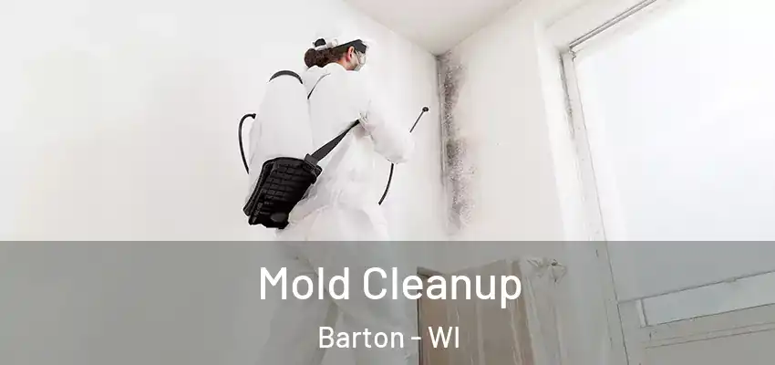  Mold Cleanup Barton - WI