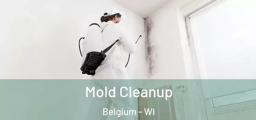  Mold Cleanup Belgium - WI