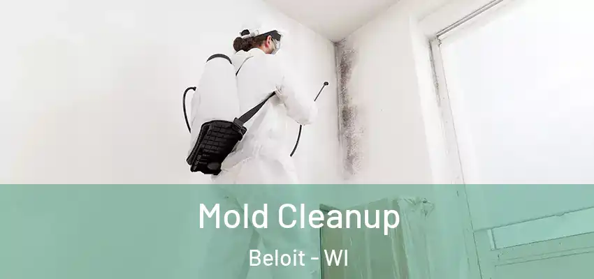  Mold Cleanup Beloit - WI