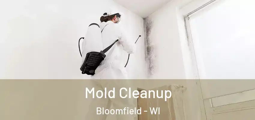  Mold Cleanup Bloomfield - WI