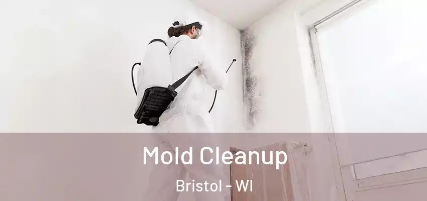 Mold Cleanup Bristol - WI