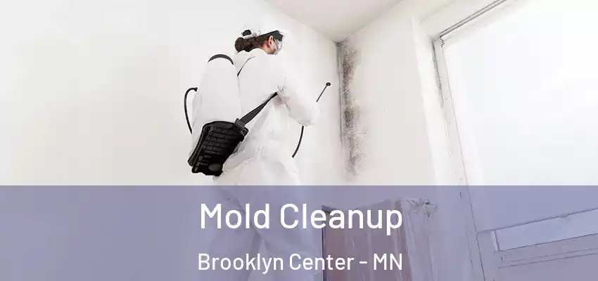  Mold Cleanup Brooklyn Center - MN