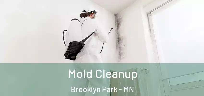  Mold Cleanup Brooklyn Park - MN