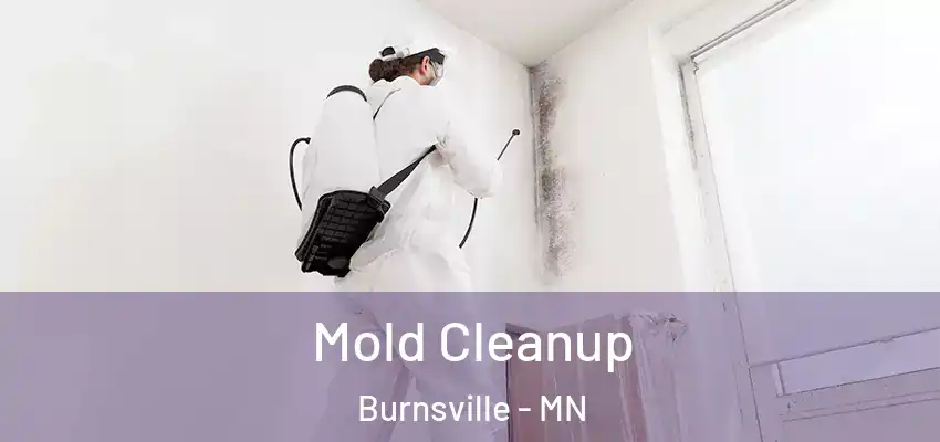  Mold Cleanup Burnsville - MN