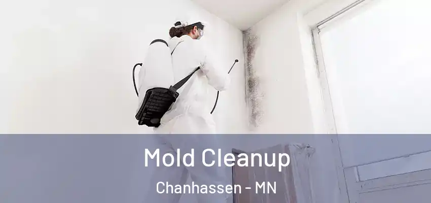  Mold Cleanup Chanhassen - MN