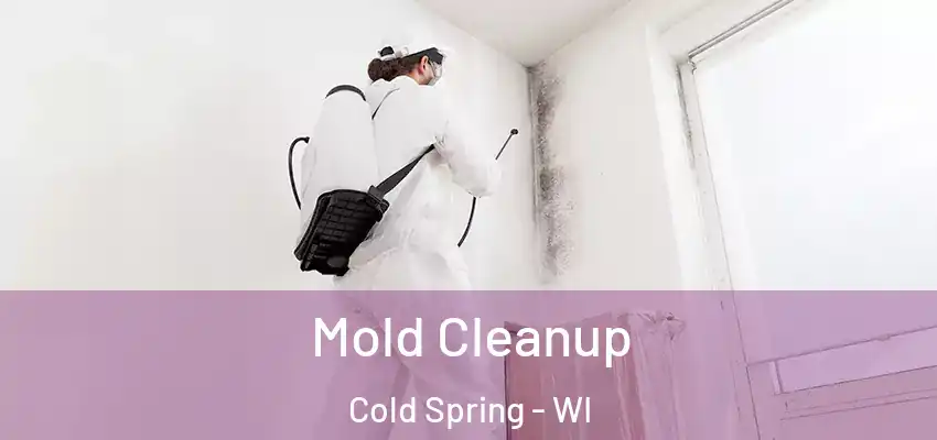  Mold Cleanup Cold Spring - WI