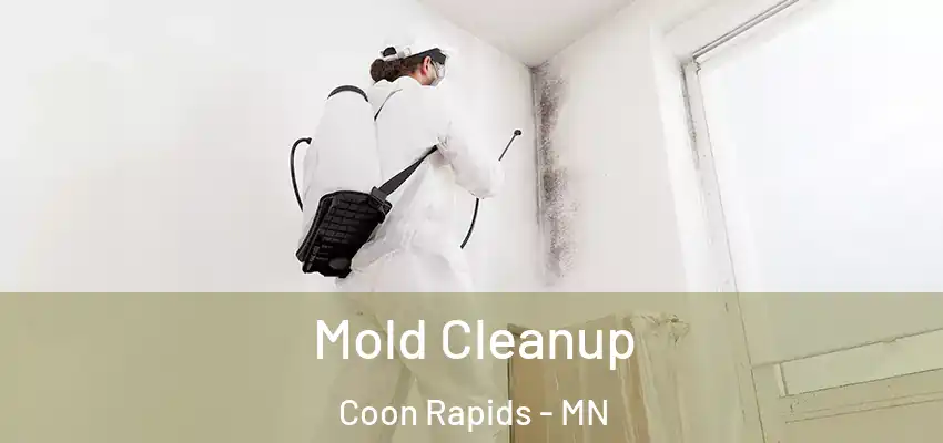 Mold Cleanup Coon Rapids - MN