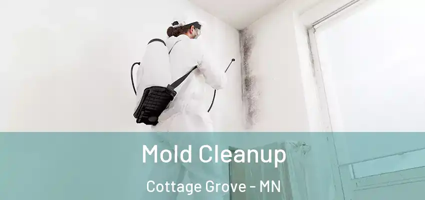  Mold Cleanup Cottage Grove - MN