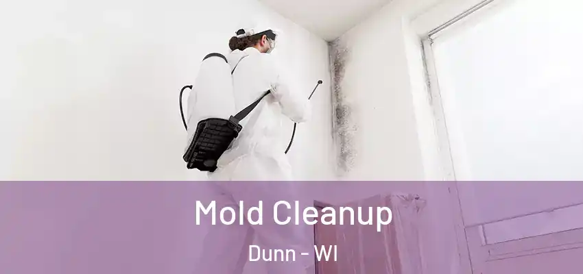  Mold Cleanup Dunn - WI