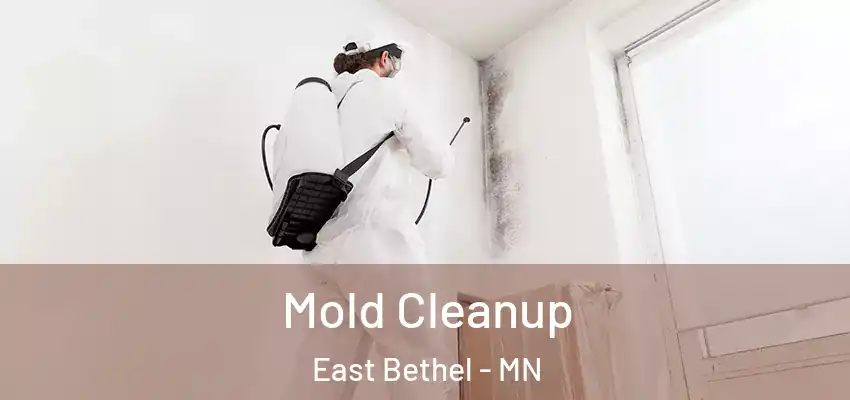 Mold Cleanup East Bethel - MN