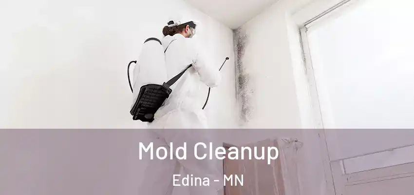 Mold Cleanup Edina - MN