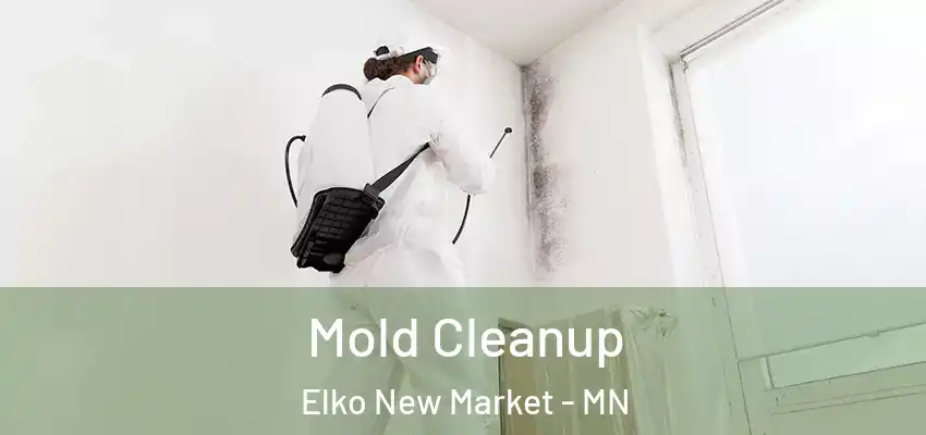  Mold Cleanup Elko New Market - MN