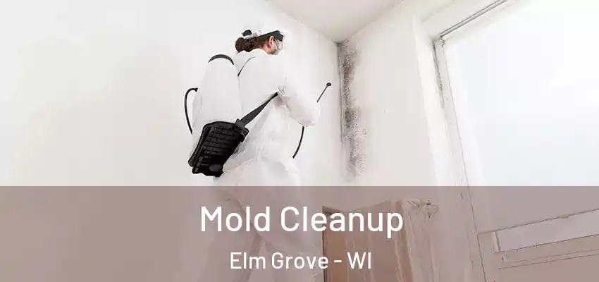  Mold Cleanup Elm Grove - WI