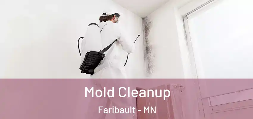  Mold Cleanup Faribault - MN