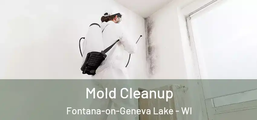  Mold Cleanup Fontana-on-Geneva Lake - WI