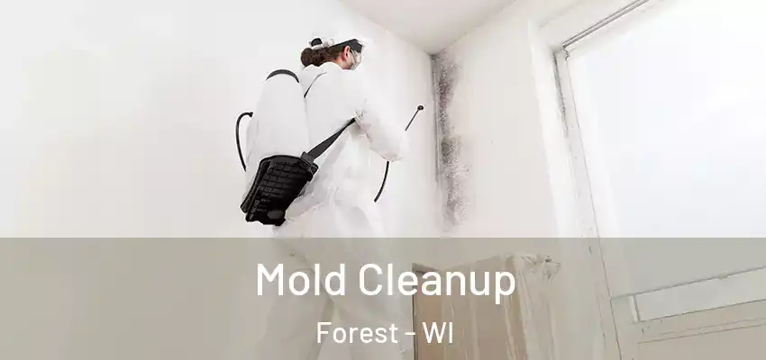  Mold Cleanup Forest - WI