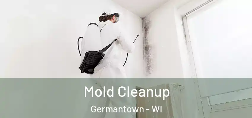 Mold Cleanup Germantown - WI