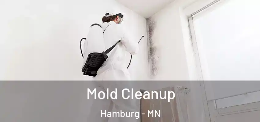 Mold Cleanup Hamburg - MN