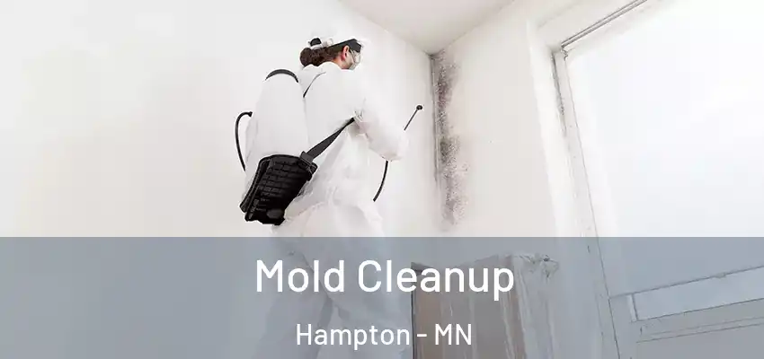  Mold Cleanup Hampton - MN