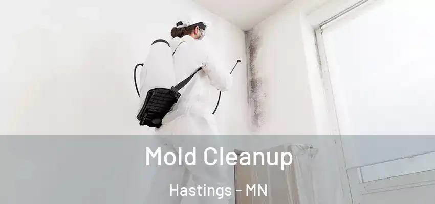  Mold Cleanup Hastings - MN