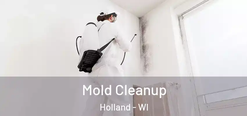  Mold Cleanup Holland - WI