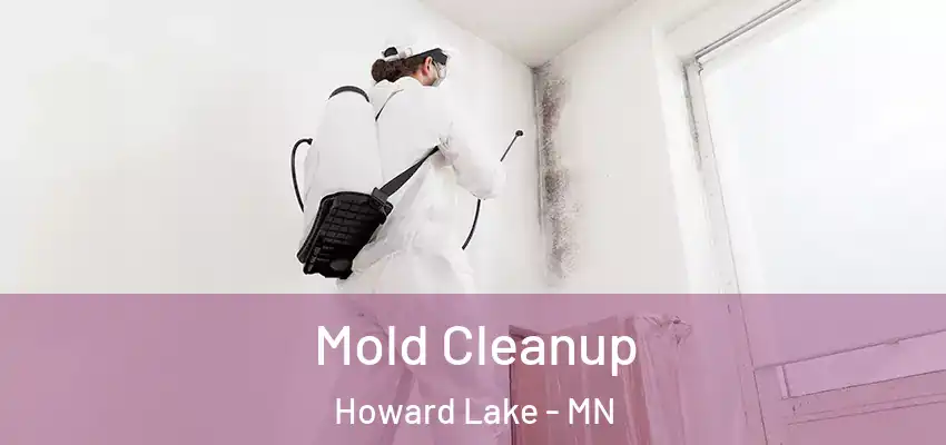  Mold Cleanup Howard Lake - MN