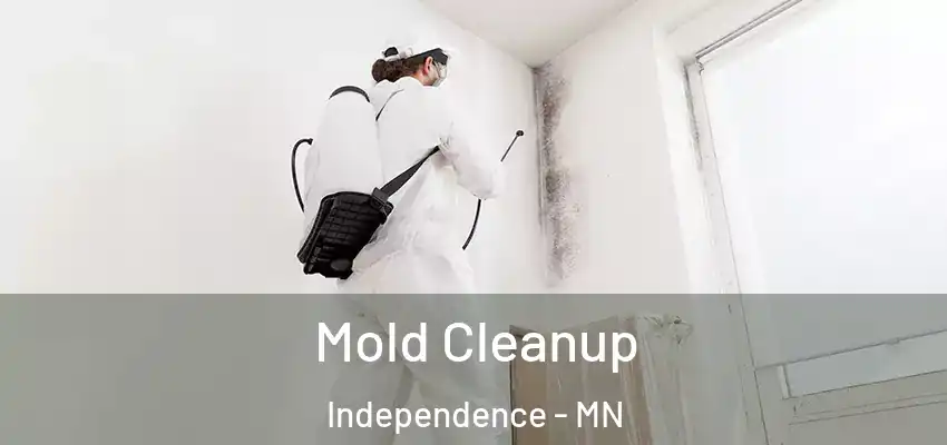  Mold Cleanup Independence - MN