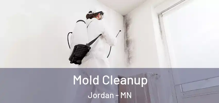 Mold Cleanup Jordan - MN