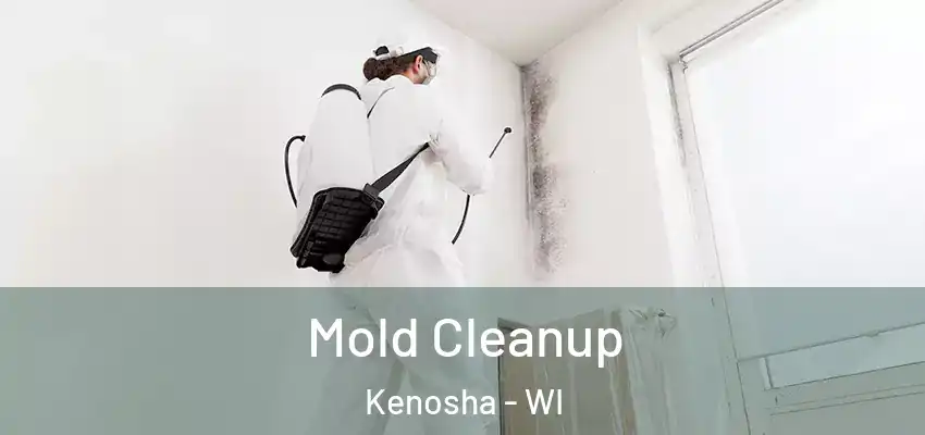 Mold Cleanup Kenosha - WI