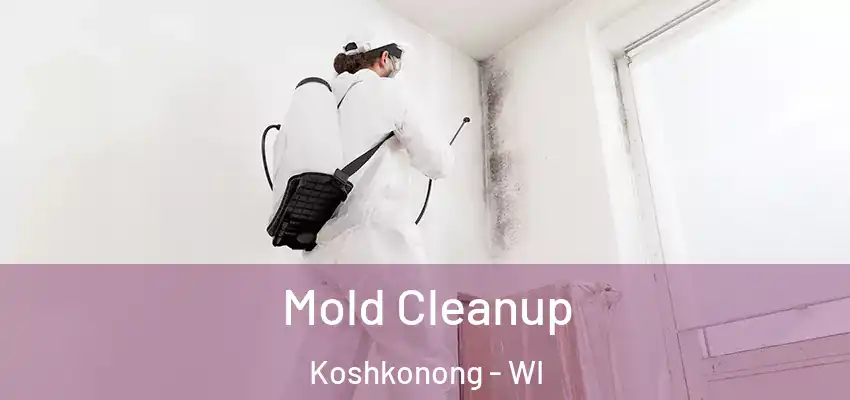  Mold Cleanup Koshkonong - WI