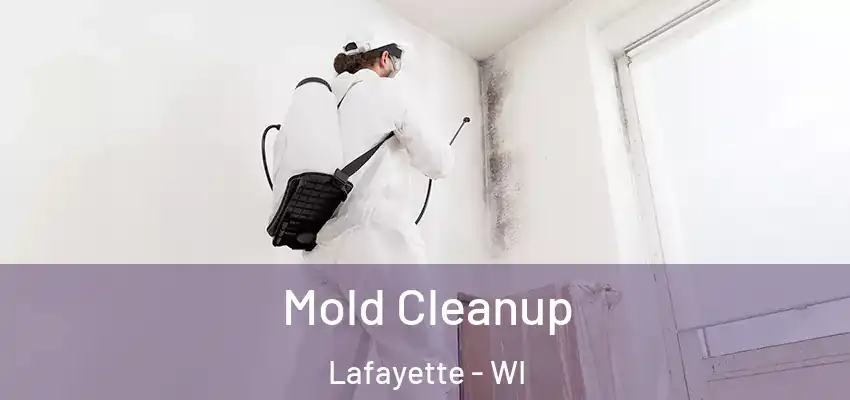 Mold Cleanup Lafayette - WI