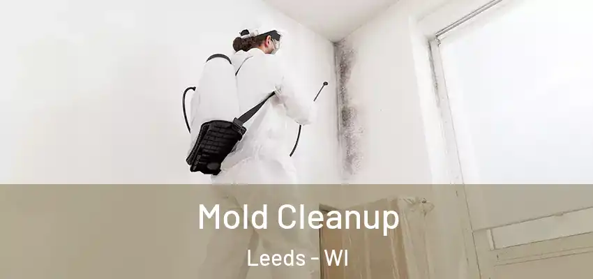 Mold Cleanup Leeds - WI