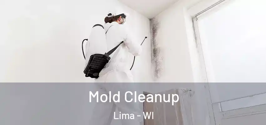  Mold Cleanup Lima - WI
