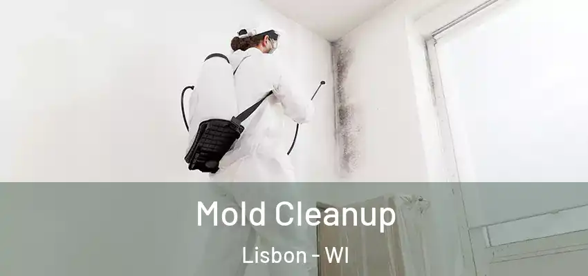  Mold Cleanup Lisbon - WI