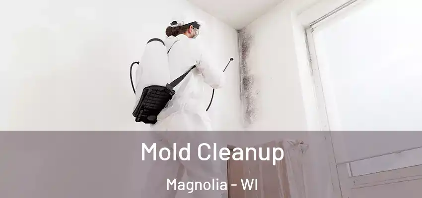 Mold Cleanup Magnolia - WI