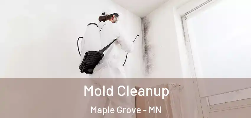 Mold Cleanup Maple Grove - MN