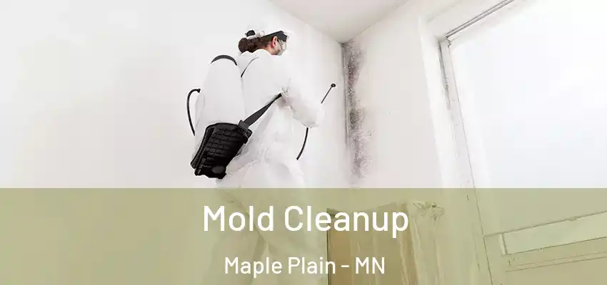 Mold Cleanup Maple Plain - MN