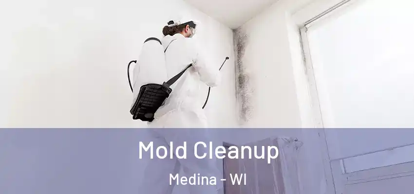  Mold Cleanup Medina - WI