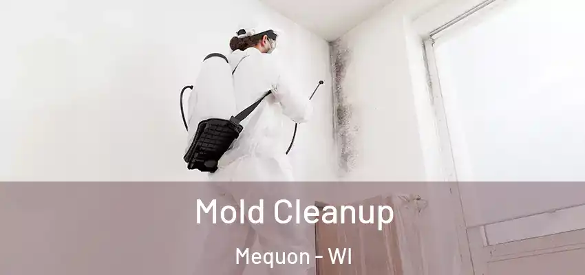  Mold Cleanup Mequon - WI