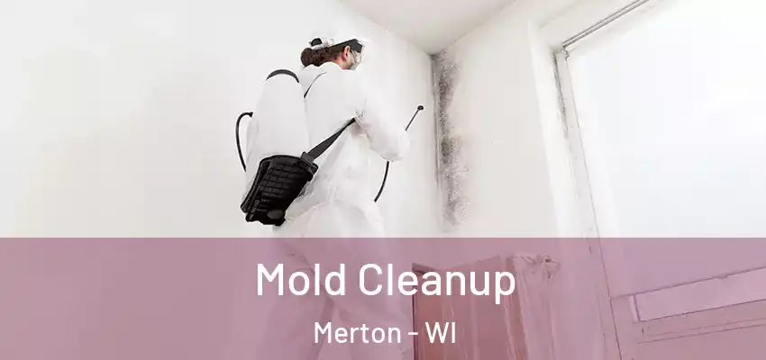 Mold Cleanup Merton - WI