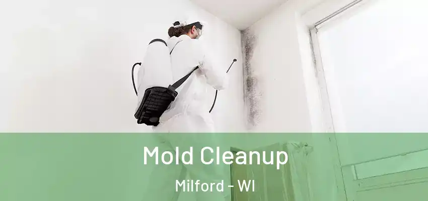  Mold Cleanup Milford - WI