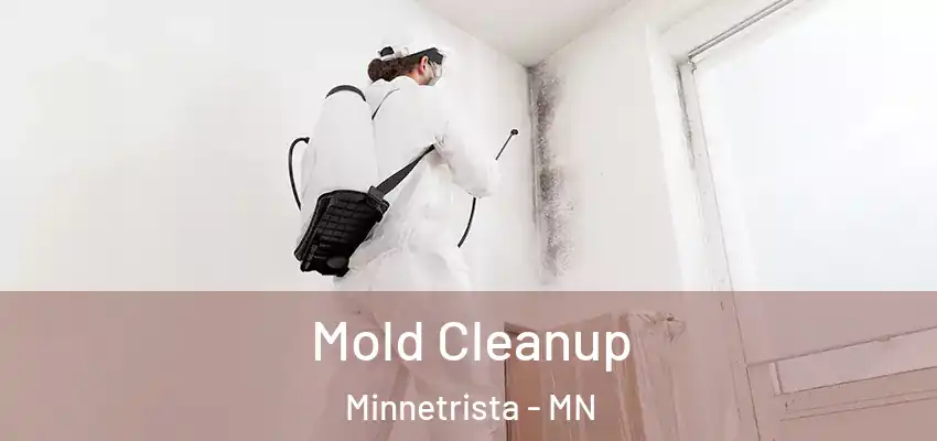 Mold Cleanup Minnetrista - MN