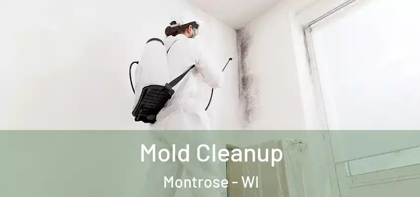  Mold Cleanup Montrose - WI