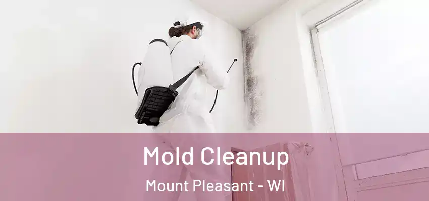 Mold Cleanup Mount Pleasant - WI