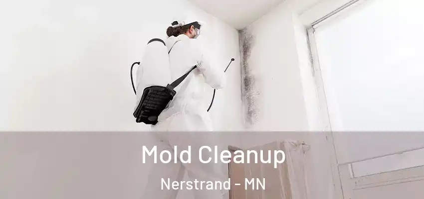  Mold Cleanup Nerstrand - MN