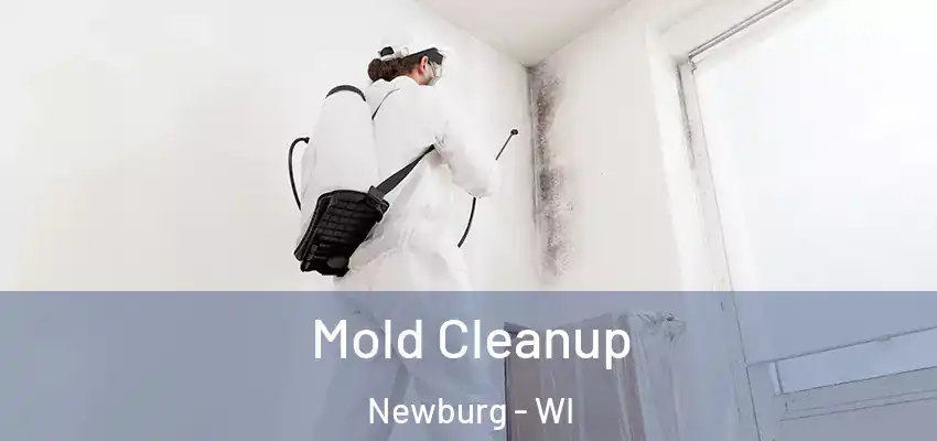  Mold Cleanup Newburg - WI