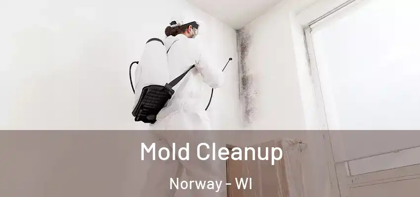 Mold Cleanup Norway - WI