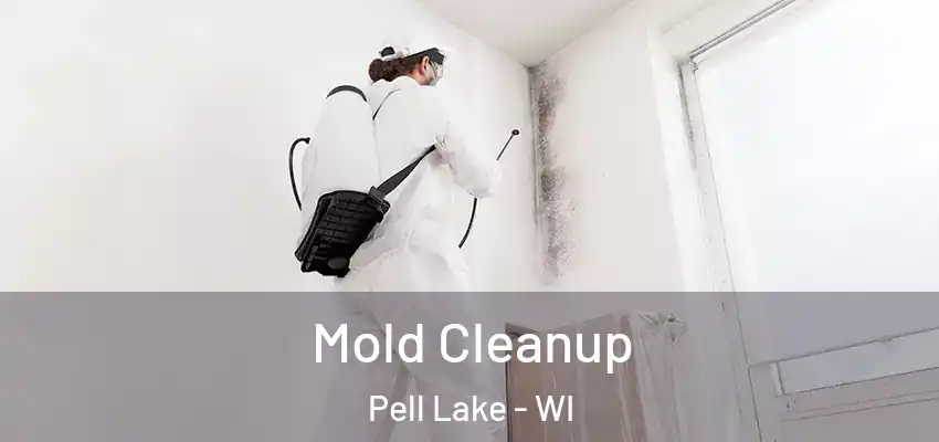 Mold Cleanup Pell Lake - WI