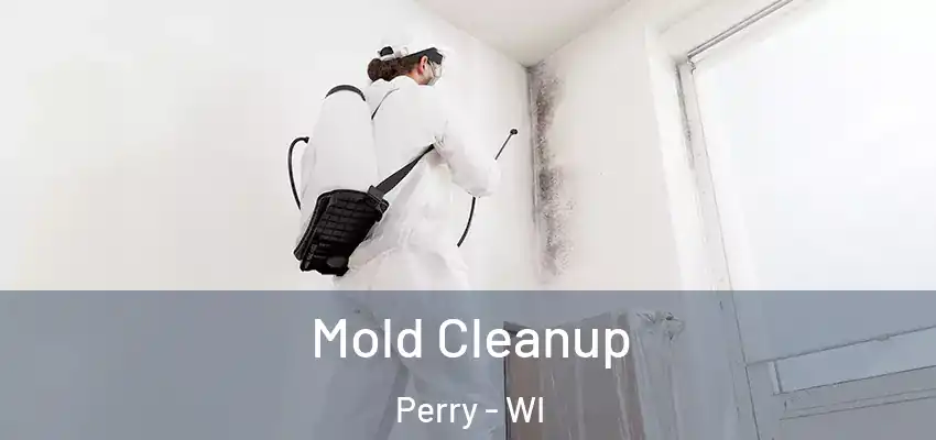  Mold Cleanup Perry - WI
