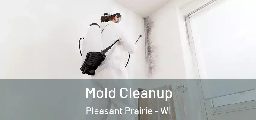  Mold Cleanup Pleasant Prairie - WI